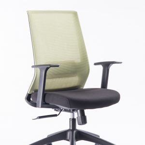 Kano Office Chair EZ03C (Green)